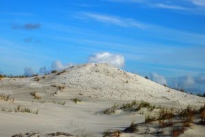 Discover the beach at Mangawhai only 3 mins from our chalets